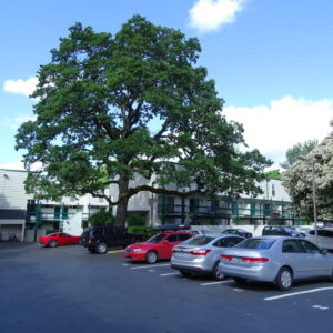 2 Bedrooms/ 1 Bathroom