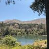 River View 2026